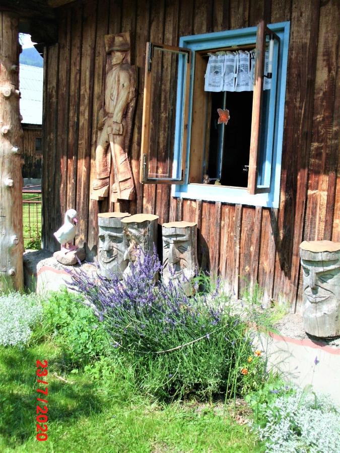 塞得利卡德莱维妮卡度假屋 Liptovská Osada 外观 照片