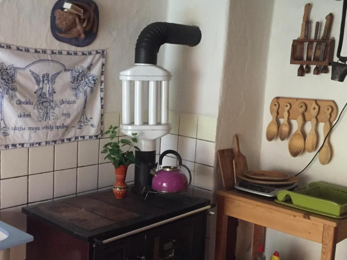 塞得利卡德莱维妮卡度假屋 Liptovská Osada 外观 照片